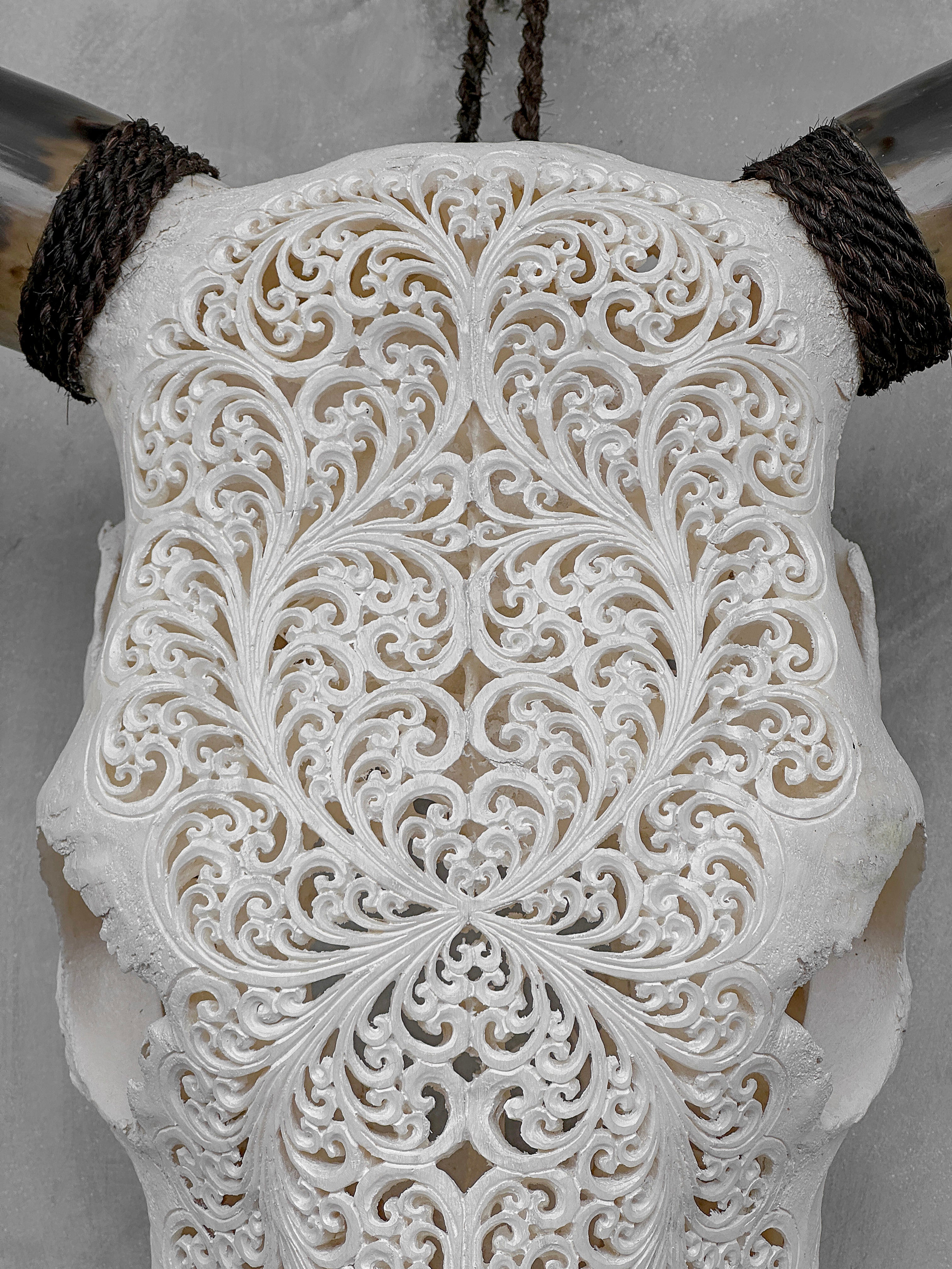 Bull Skull Carved Fern - Skull,A/151