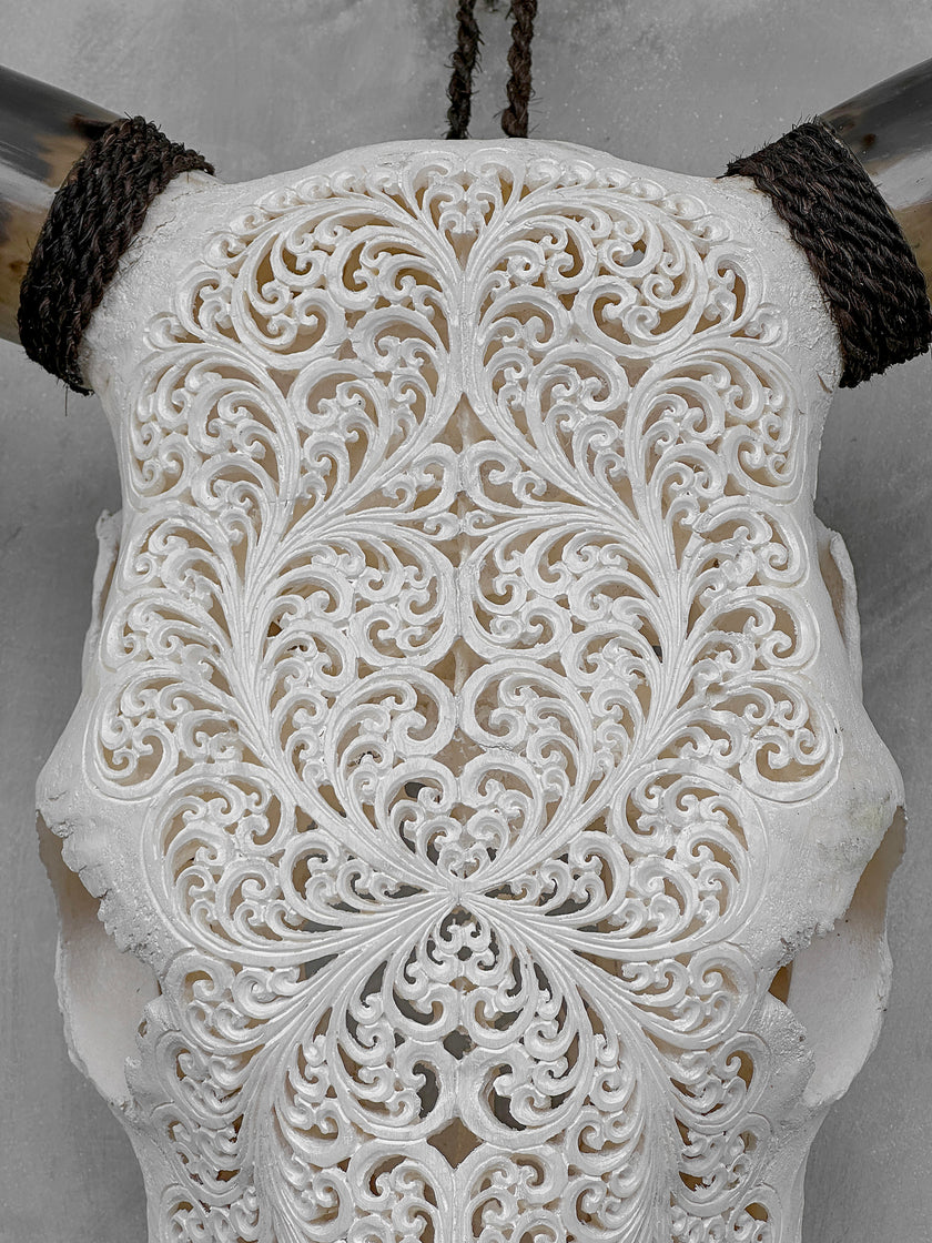 Bull Skull Carved Fern - Skull,A/151