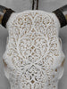 Bull Skull Carved Fern - Skull,A/151