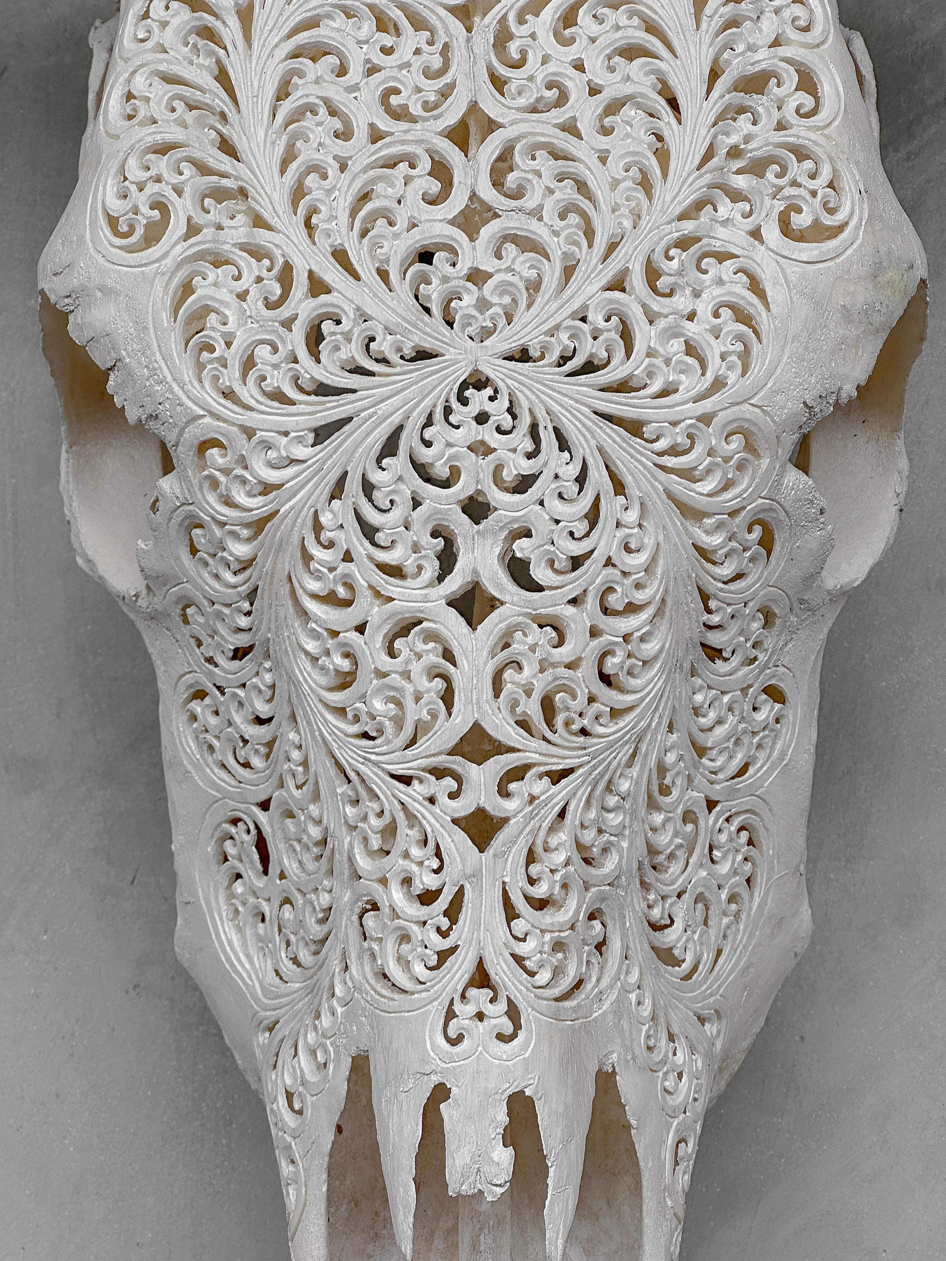 Bull Skull Carved Fern - Skull,A/151