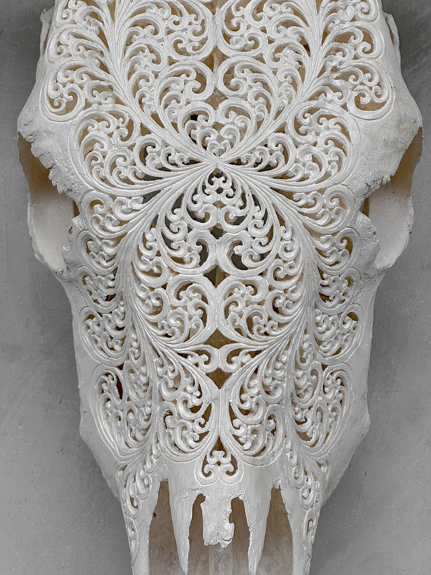 Bull Skull Carved Fern - Skull,A/151