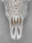 Bull Skull Carved Fern - Skull,A/151