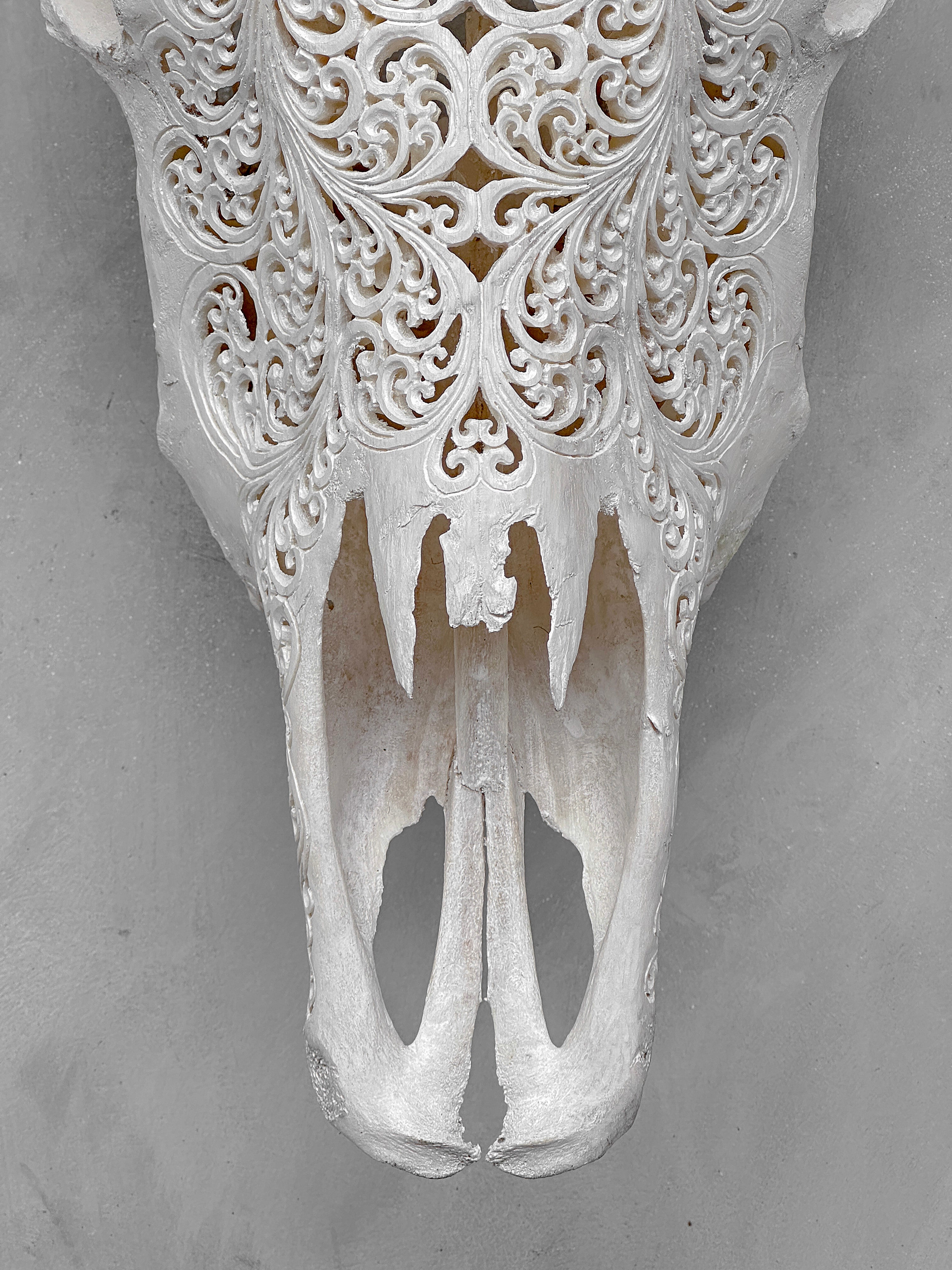 Bull Skull Carved Fern - Skull,A/151