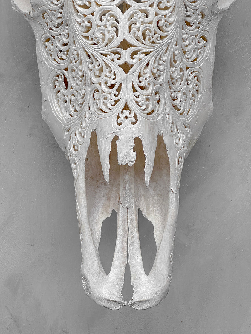 Bull Skull Carved Fern - Skull,A/151