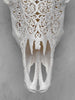Bull Skull Carved Fern - Skull,A/151