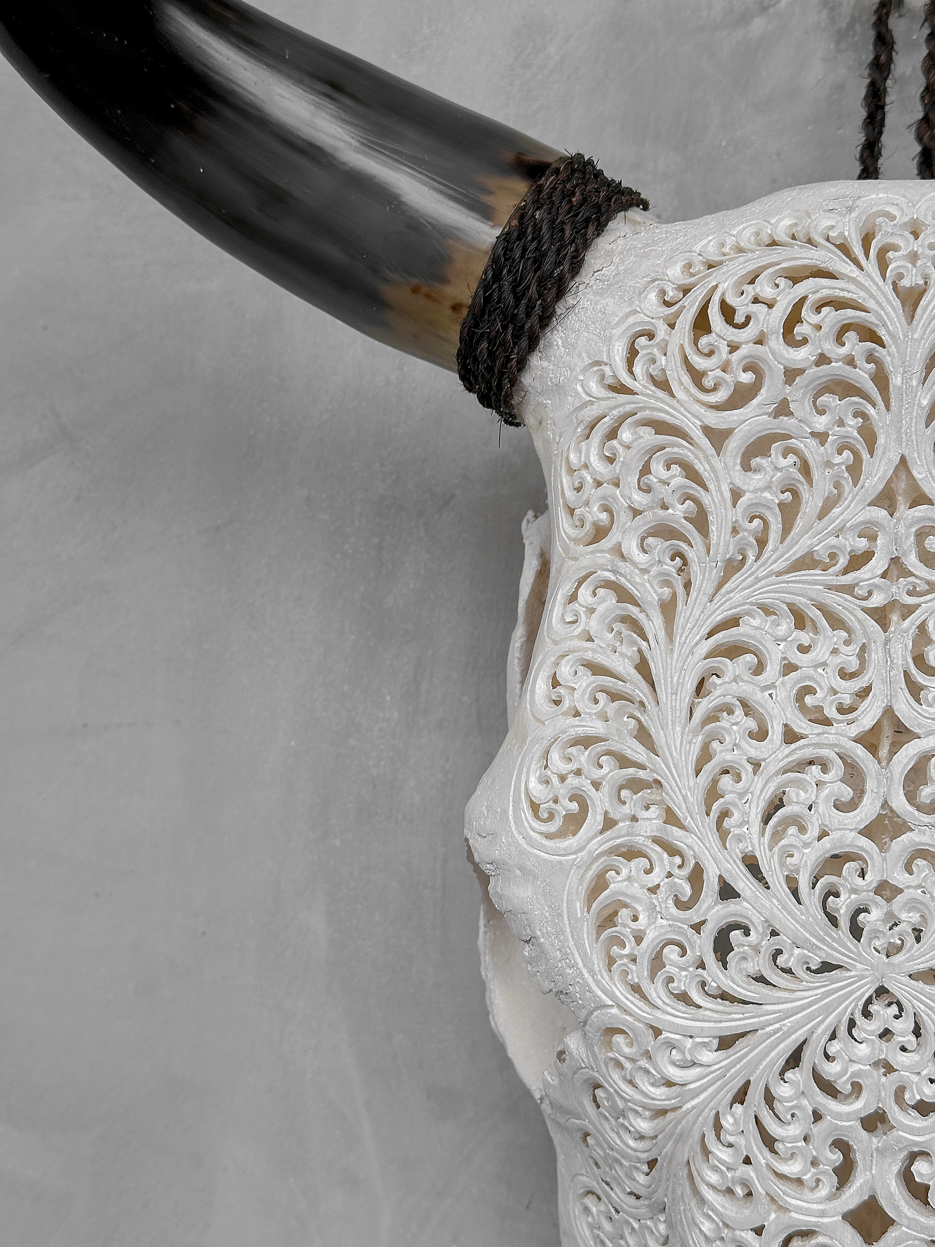 Bull Skull Carved Fern - Skull,A/151