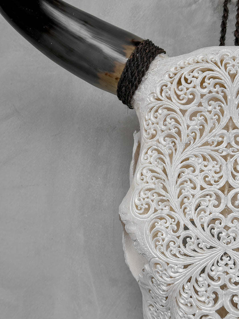 Bull Skull Carved Fern - Skull,A/151