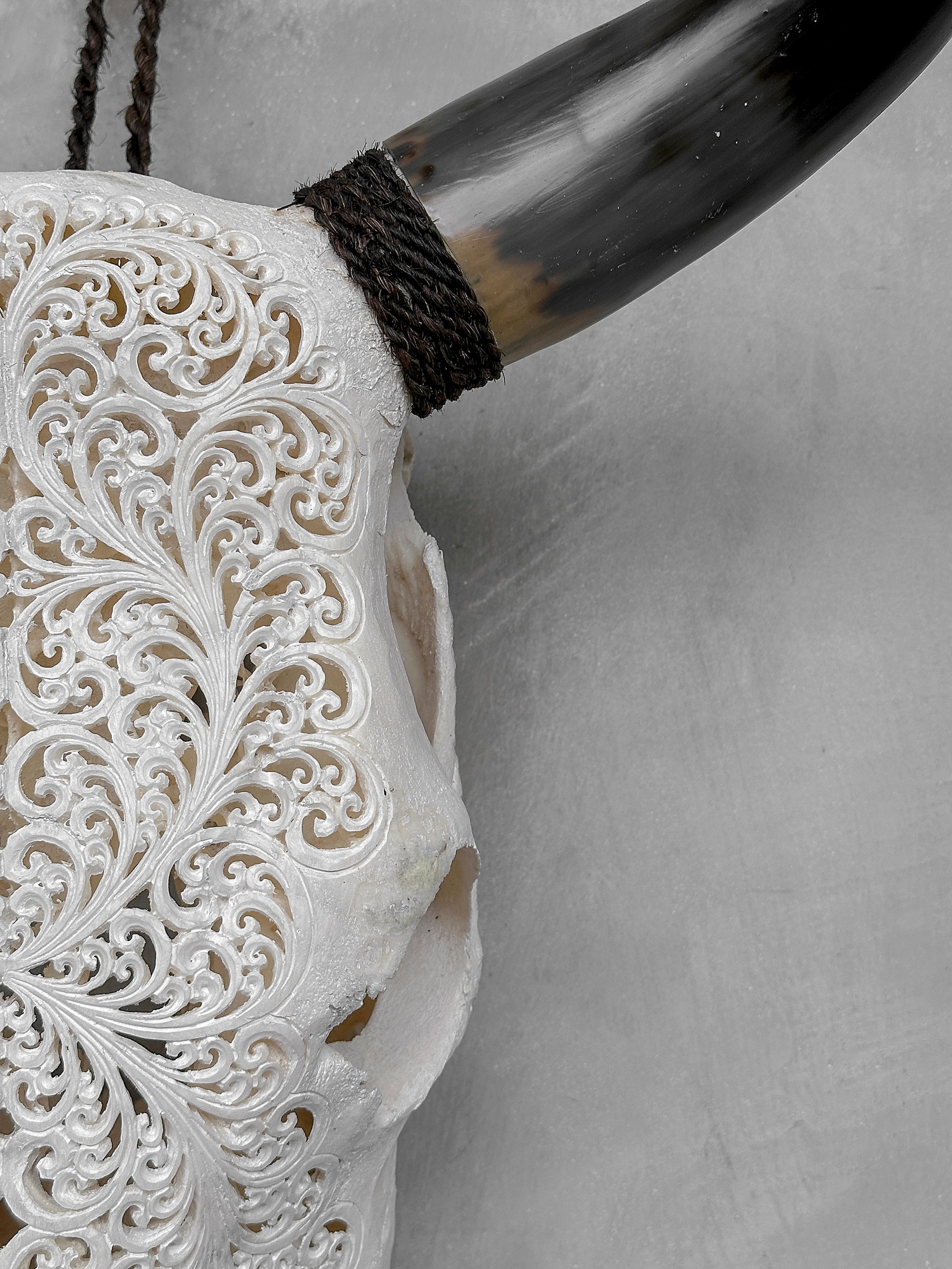 Bull Skull Carved Fern - Skull,A/151