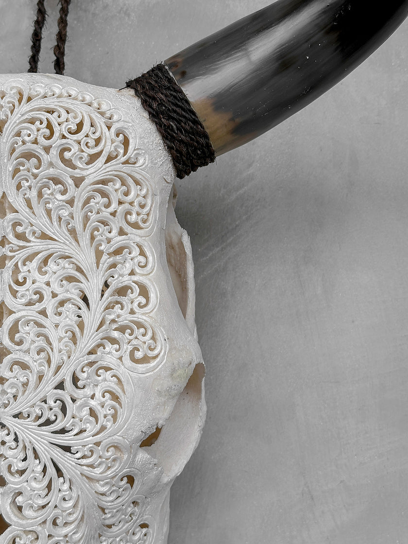 Bull Skull Carved Fern - Skull,A/151