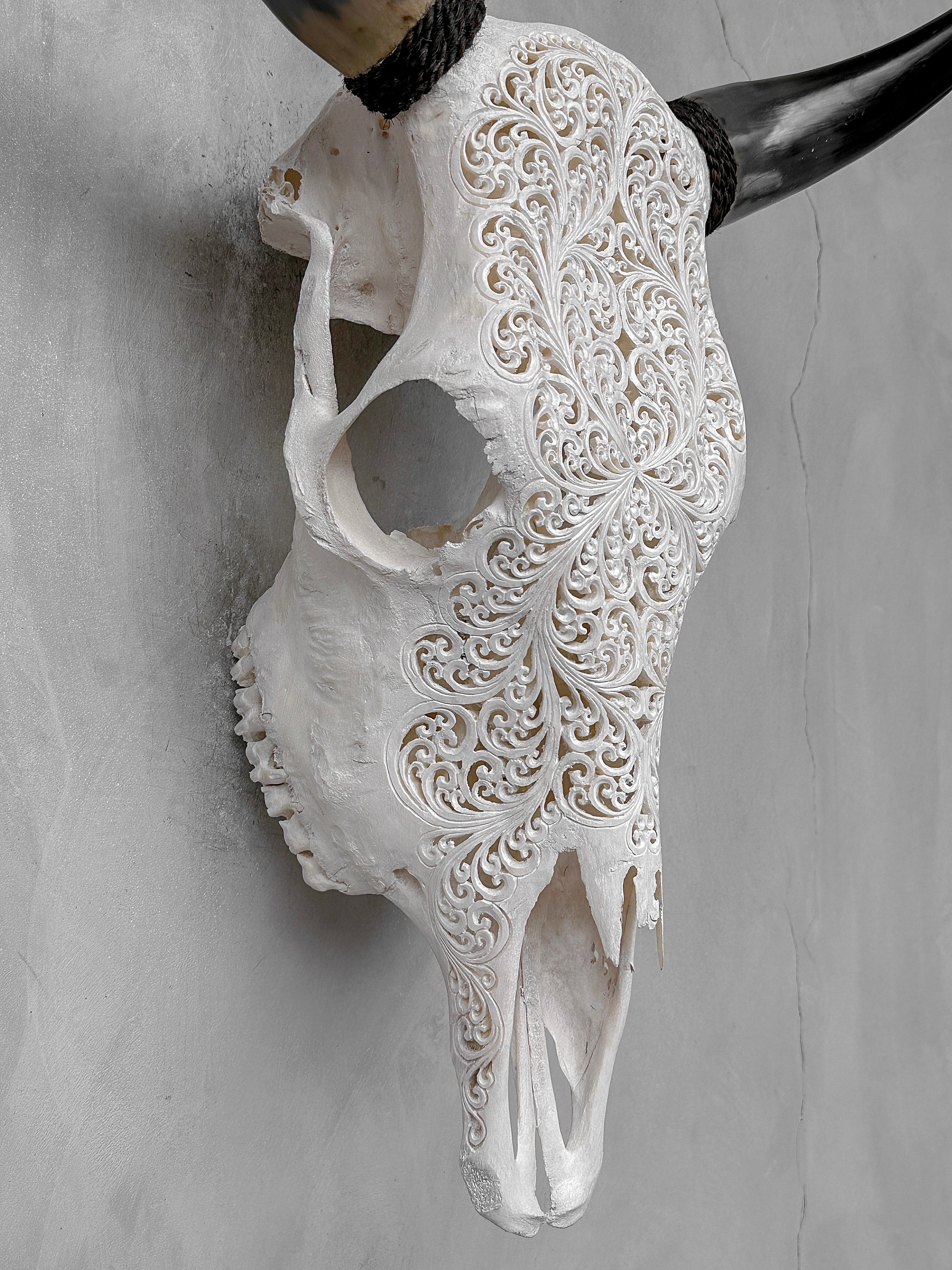 Bull Skull Carved Fern - Skull,A/151