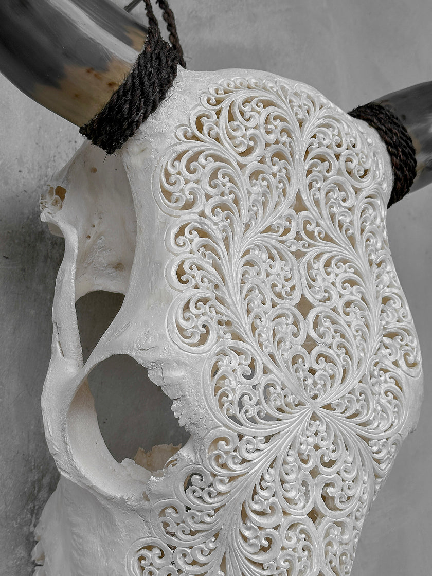 Bull Skull Carved Fern - Skull,A/151