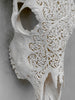 Bull Skull Carved Fern - Skull,A/151