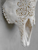 Bull Skull Carved Fern - Skull,A/151