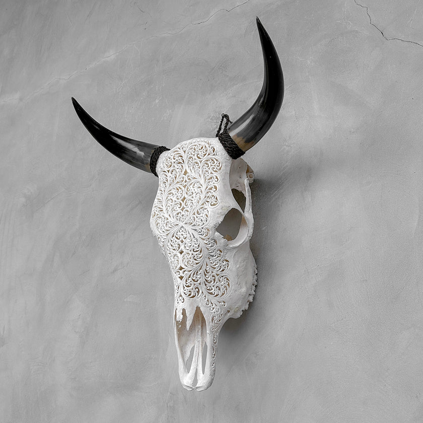 Bull Skull Carved Fern - Skull,A/151