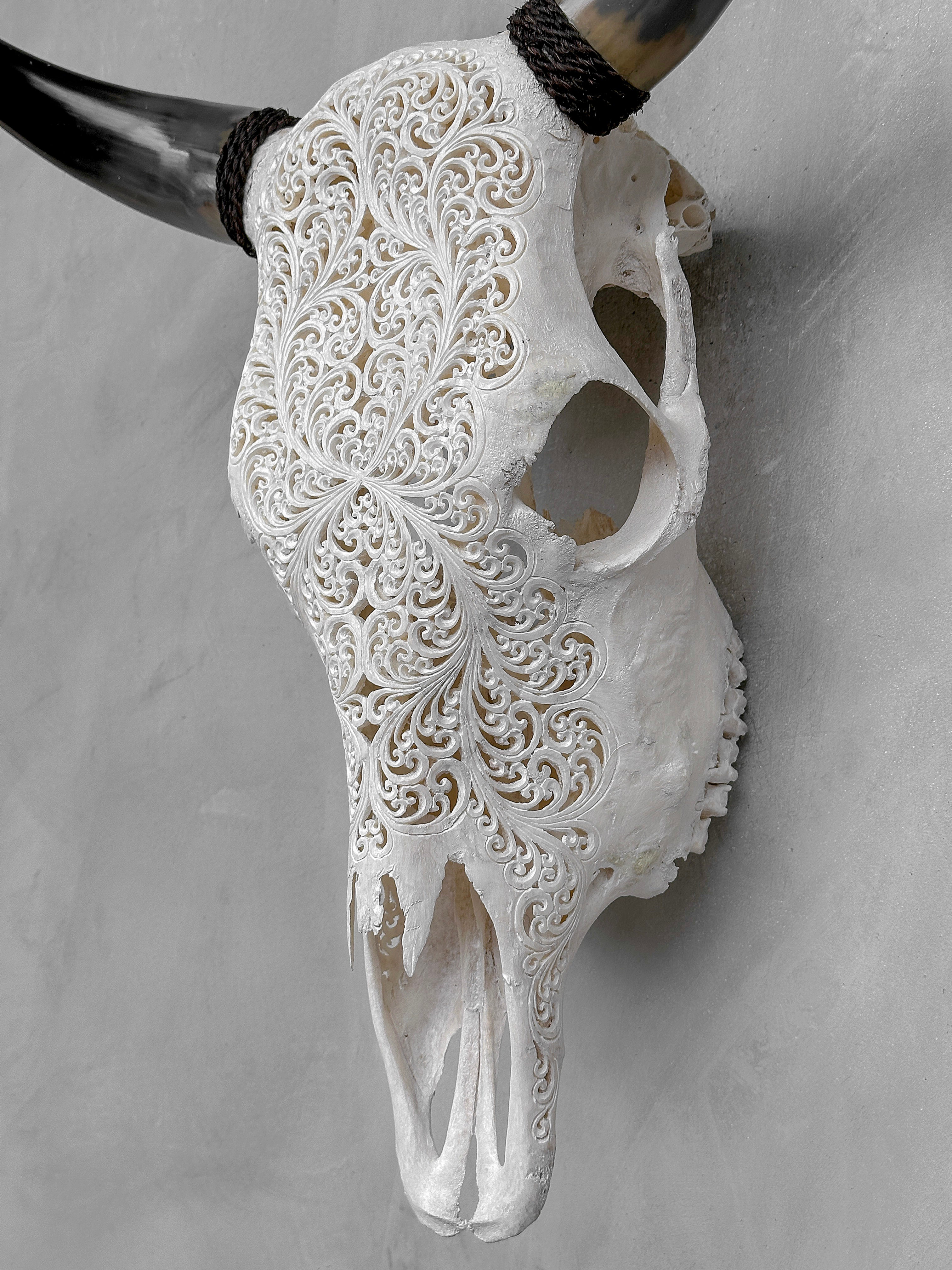 Bull Skull Carved Fern - Skull,A/151