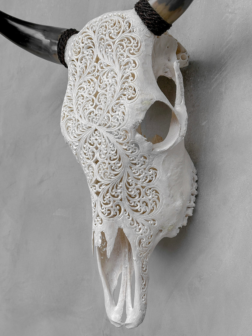 Bull Skull Carved Fern - Skull,A/151