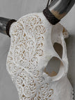 Bull Skull Carved Fern - Skull,A/151