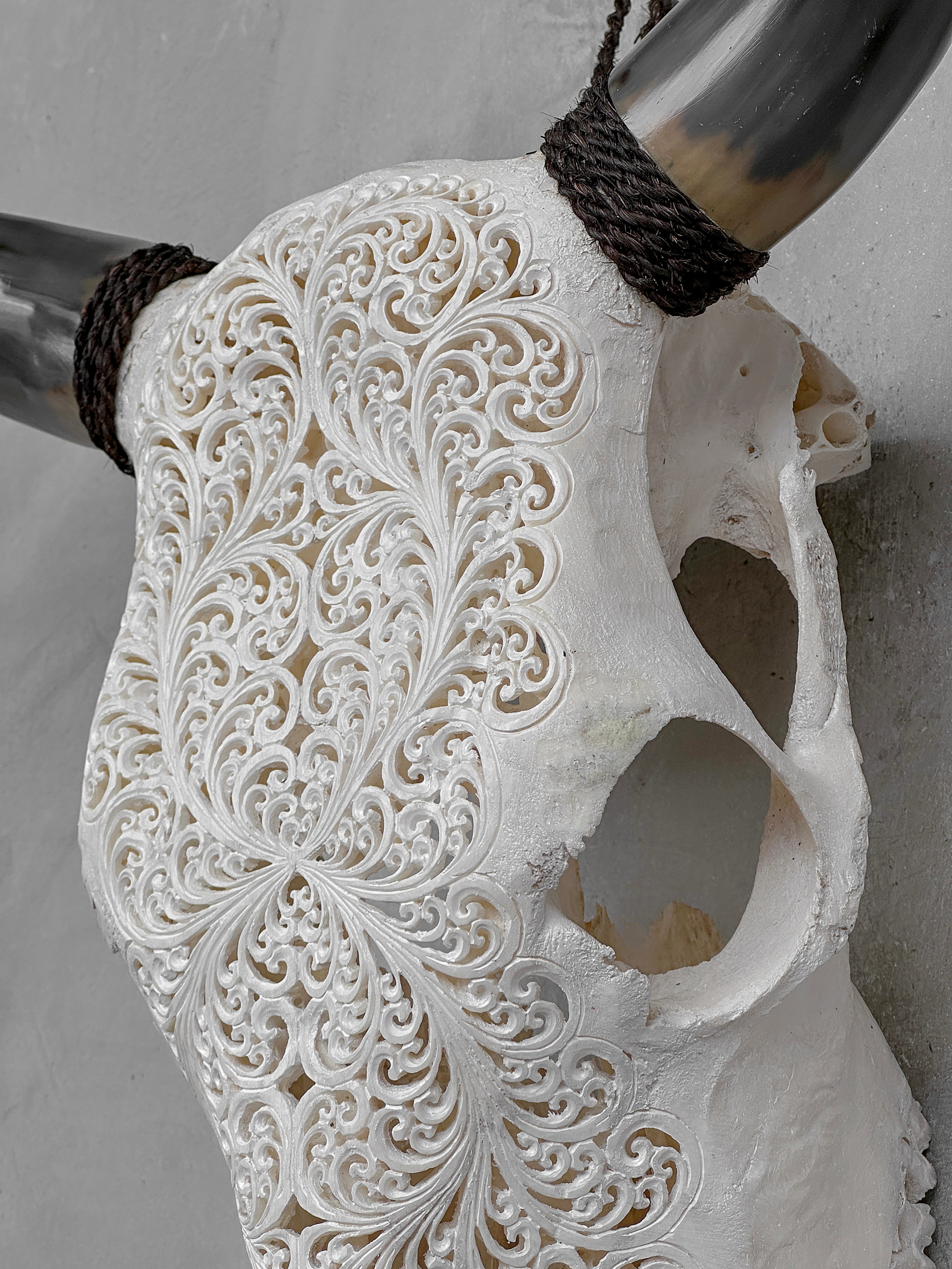 Bull Skull Carved Fern - Skull,A/151