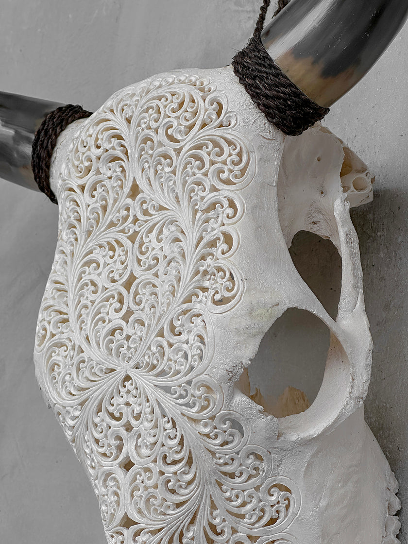 Bull Skull Carved Fern - Skull,A/151