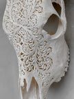 Bull Skull Carved Fern - Skull,A/151