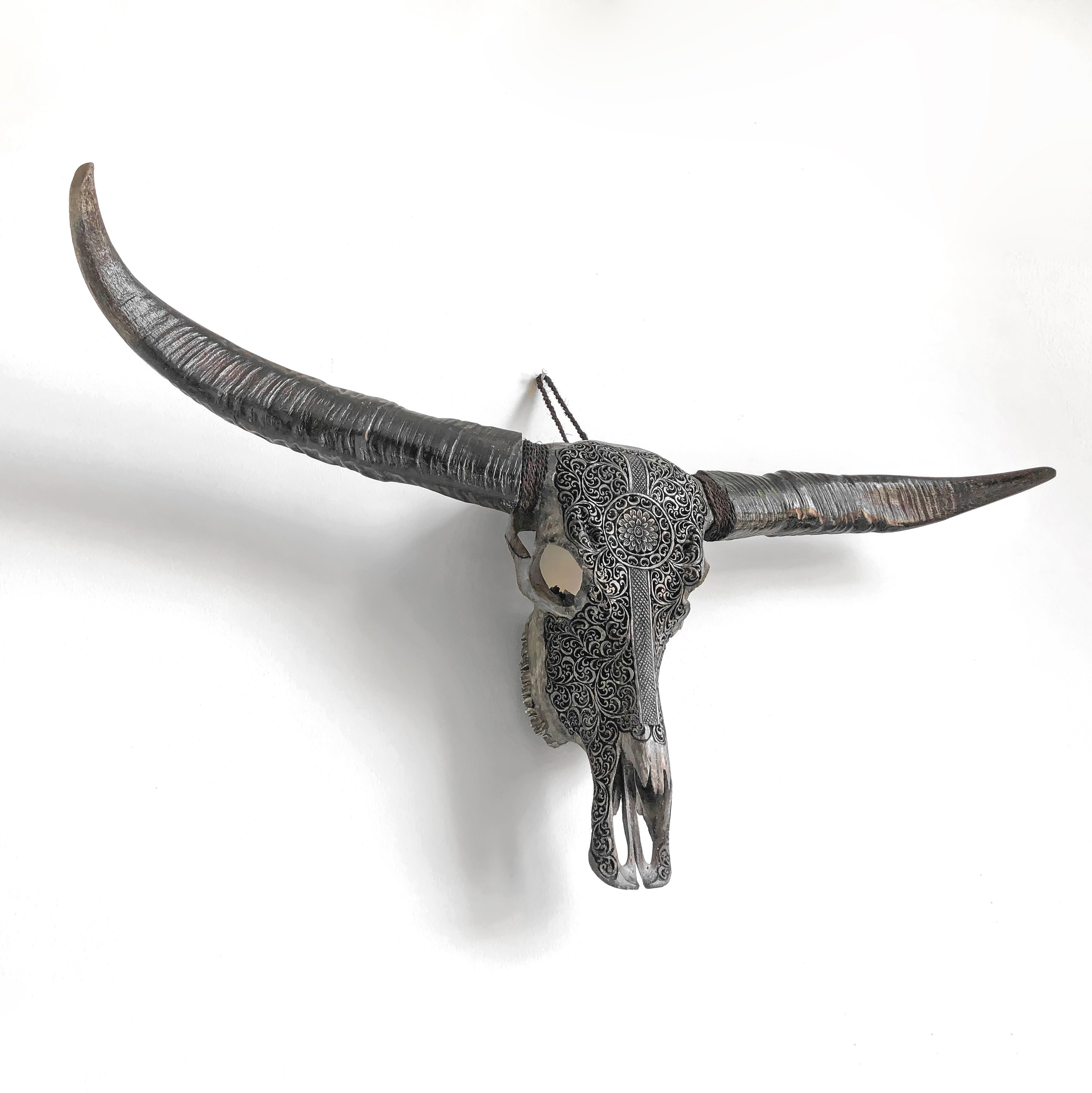 Real Carved Buffalo Skull 6H/048