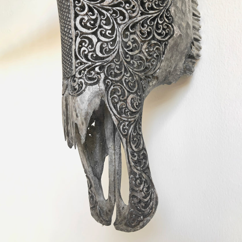 Real Carved Buffalo Skull 6H/048