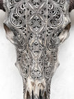 Caved Waterbuffalo Skulls with Ketimun Lotus Carving Skull,A/181