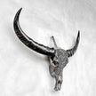 Caved Waterbuffalo Skulls with Ketimun Lotus Carving Skull,A/181