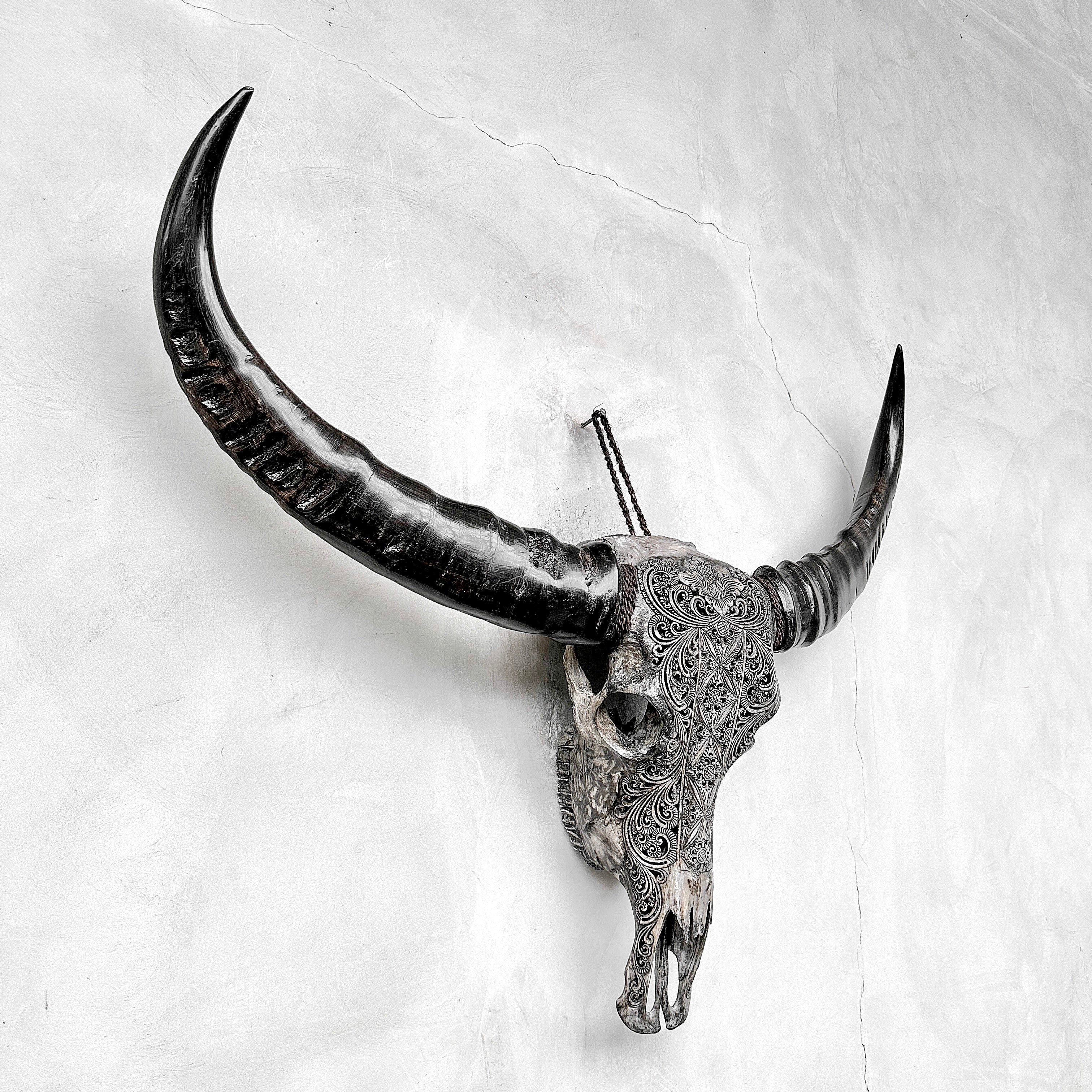Caved Waterbuffalo Skulls with Ketimun Lotus Carving Skull,A/181
