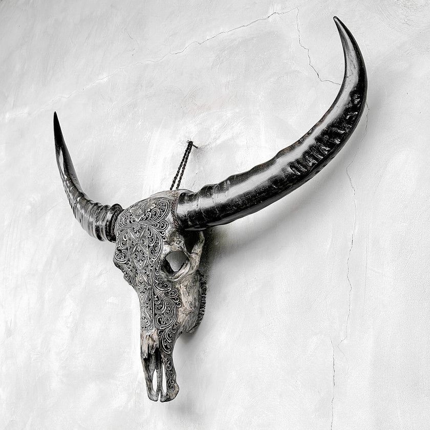 Caved Waterbuffalo Skulls with Ketimun Lotus Carving Skull,A/181