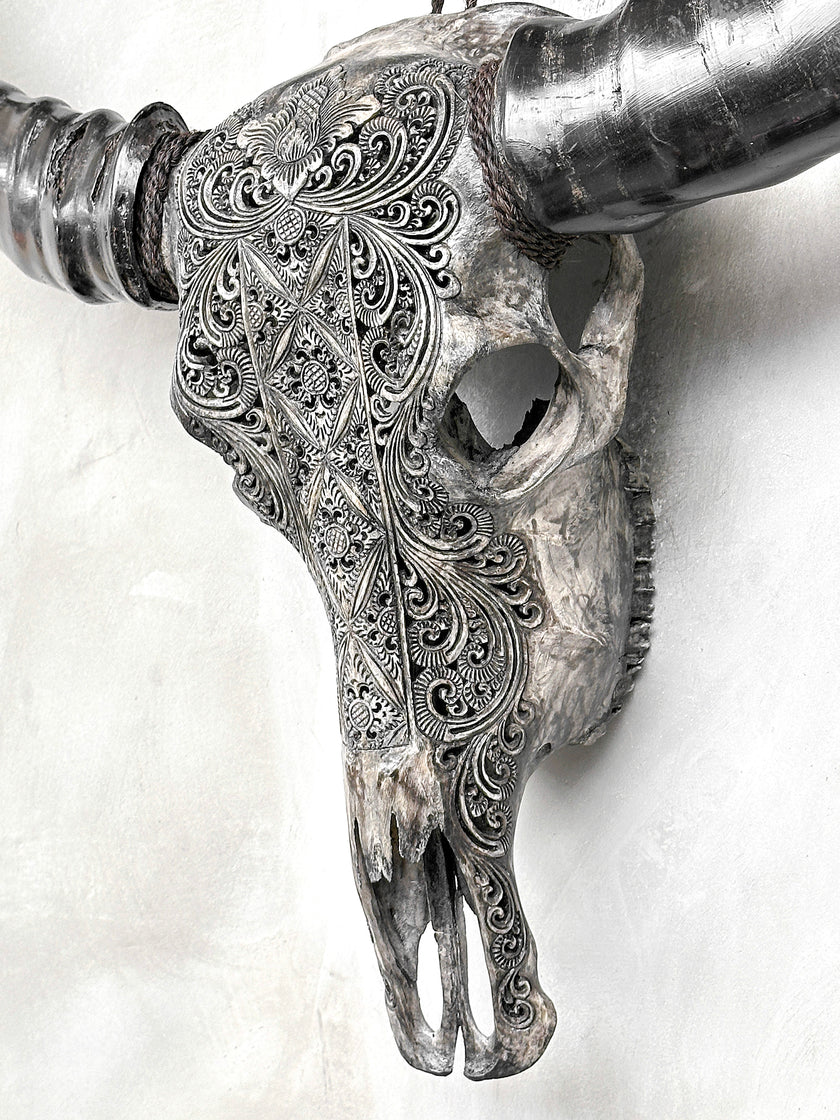 Caved Waterbuffalo Skulls with Ketimun Lotus Carving Skull,A/181