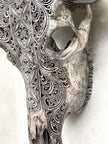 Caved Waterbuffalo Skulls with Ketimun Lotus Carving Skull,A/181