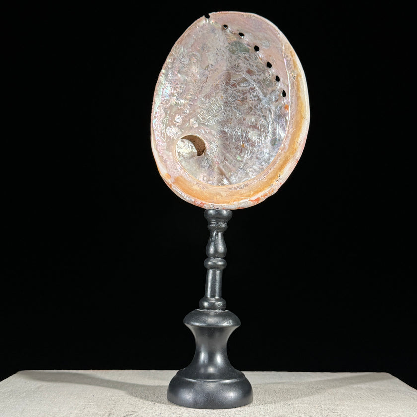 Abalone Shell on Stand Red-L2/348