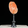 Abalone Shell on Stand Red-L2/348