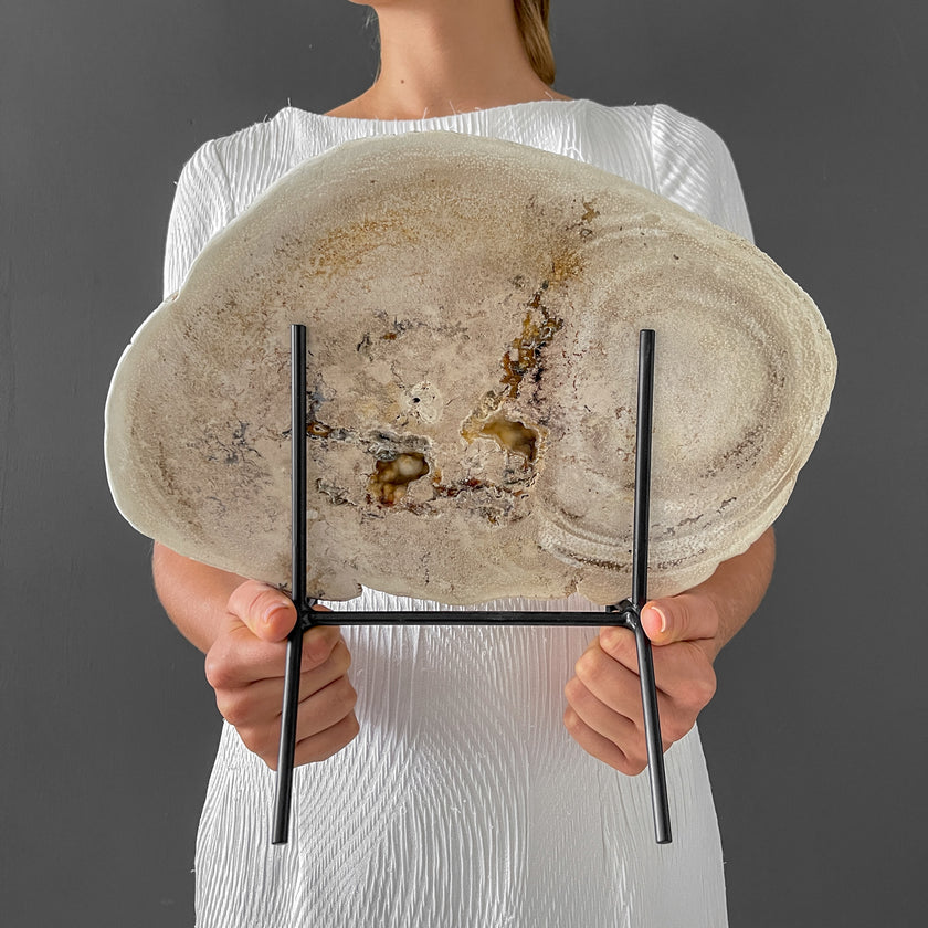 A Beautiful Slice of Petrified Palm Root on stand  PetW/055