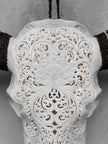Caved Waterbuffalo Skulls with Big lotus Carving Skull,A/188