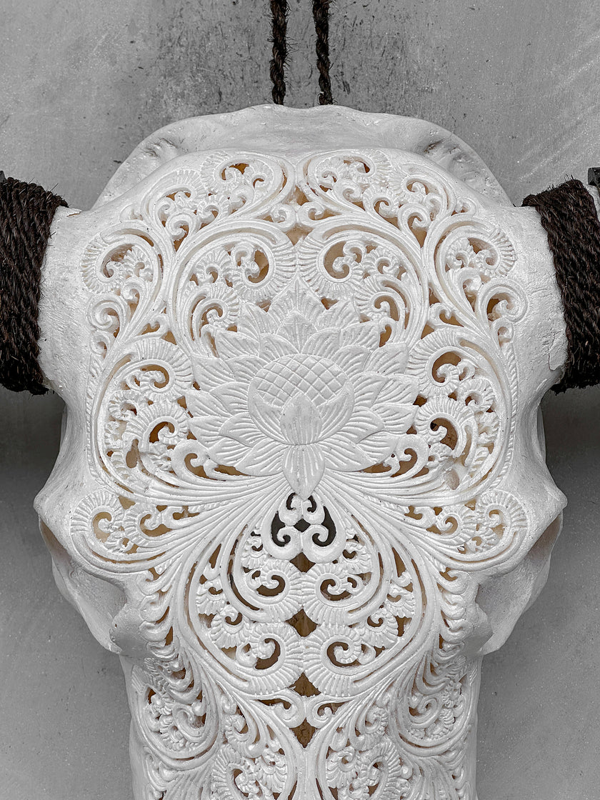 Caved Waterbuffalo Skulls with Big lotus Carving Skull,A/188