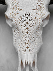 Caved Waterbuffalo Skulls with Big lotus Carving Skull,A/188