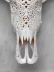 Caved Waterbuffalo Skulls with Big lotus Carving Skull,A/188