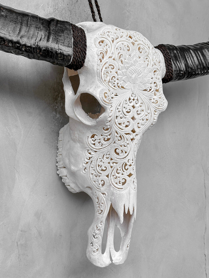 Caved Waterbuffalo Skulls with Big lotus Carving Skull,A/188