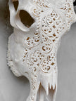 Caved Waterbuffalo Skulls with Big lotus Carving Skull,A/188