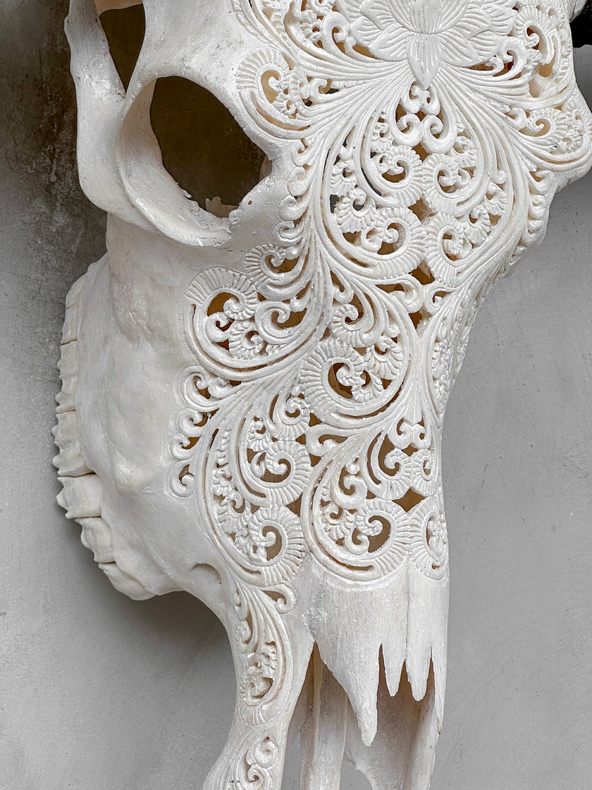 Caved Waterbuffalo Skulls with Big lotus Carving Skull,A/188