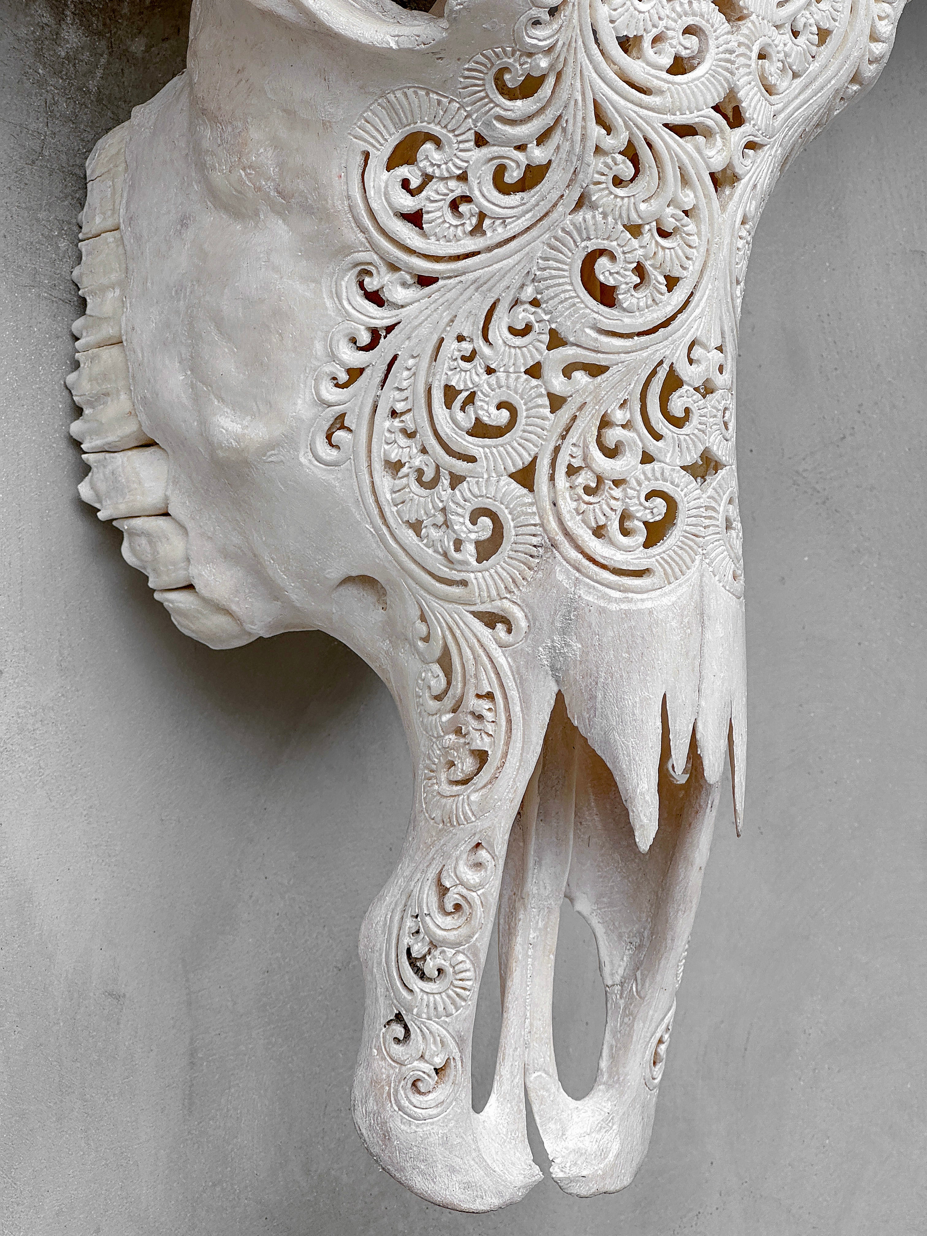 Caved Waterbuffalo Skulls with Big lotus Carving Skull,A/188