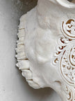 Caved Waterbuffalo Skulls with Big lotus Carving Skull,A/188