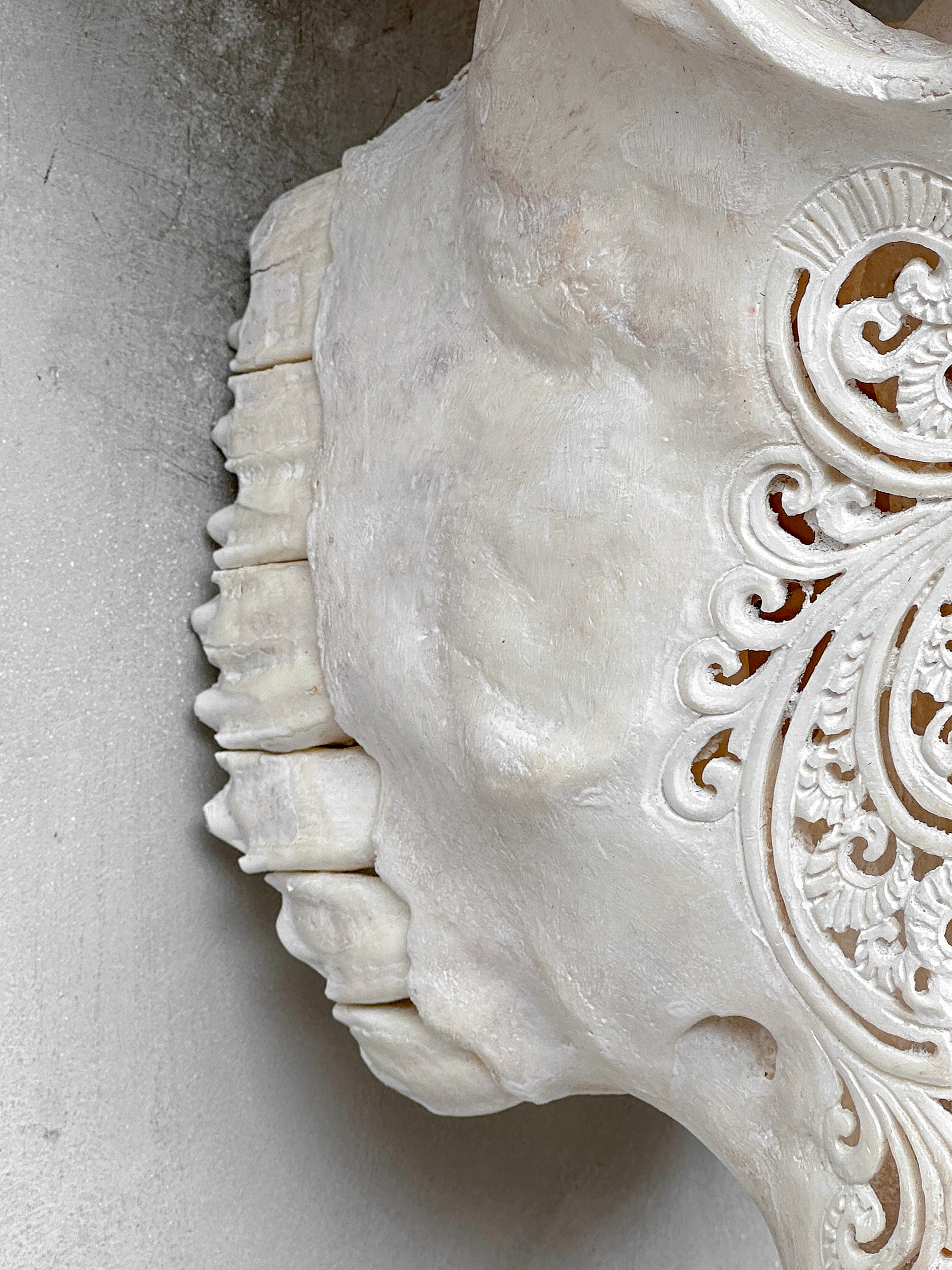 Caved Waterbuffalo Skulls with Big lotus Carving Skull,A/188