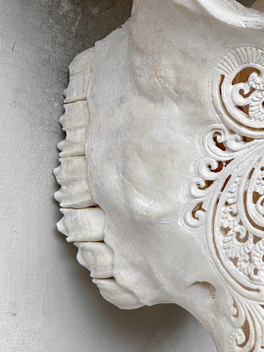Caved Waterbuffalo Skulls with Big lotus Carving Skull,A/188