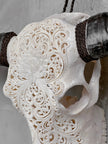 Caved Waterbuffalo Skulls with Big lotus Carving Skull,A/188