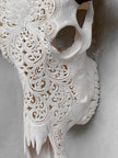Caved Waterbuffalo Skulls with Big lotus Carving Skull,A/188