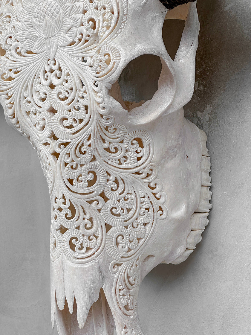 Caved Waterbuffalo Skulls with Big lotus Carving Skull,A/188