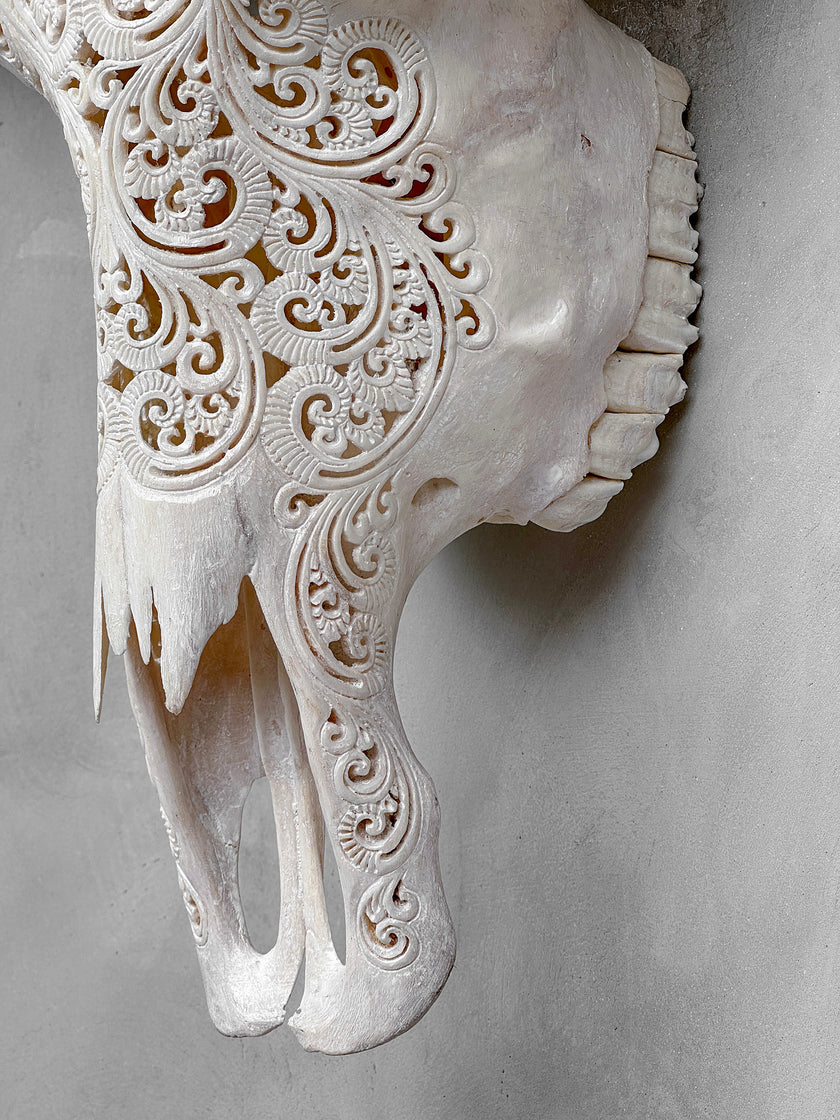 Caved Waterbuffalo Skulls with Big lotus Carving Skull,A/188